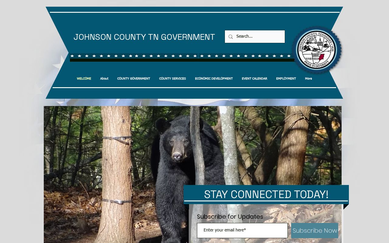 Johnson County court docket county government home page